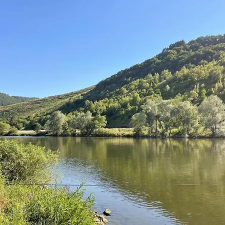 Gorgeous In With Wifi * Trier