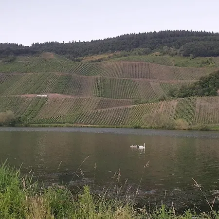 Apartamento Gorgeous In With Wifi *