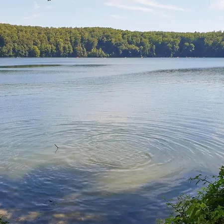 Gorgeous In With Wifi Trier