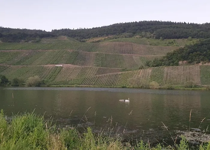 Apartamento Gorgeous In With Wifi *