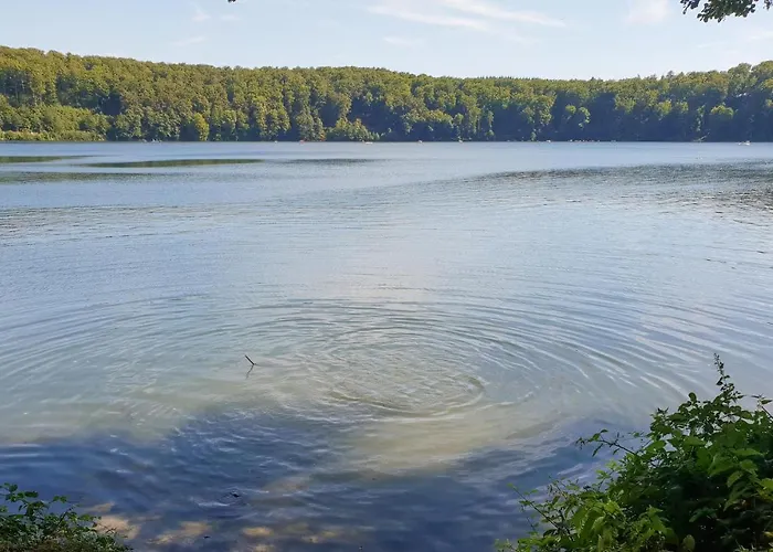 Gorgeous In With Wifi Trèves